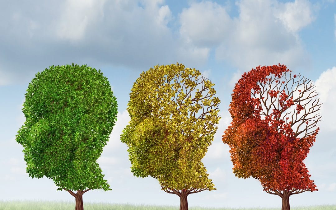 Research into mutual causes of heart failure and vascular dementia